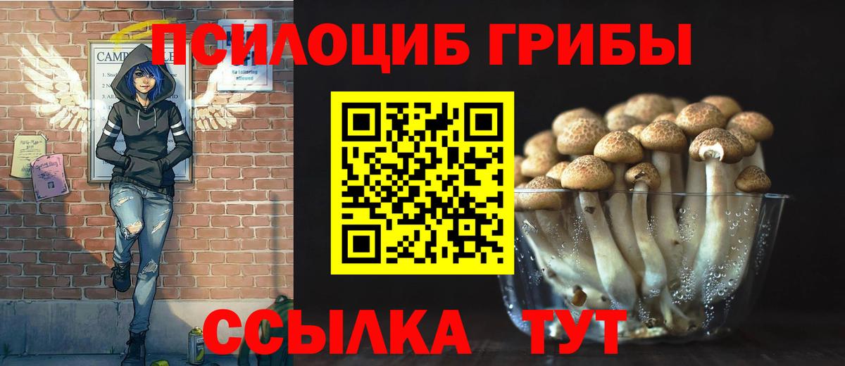 Мелеуз  Псилоцибиновые грибы Psilocybine cubensis  Вход с VPN 