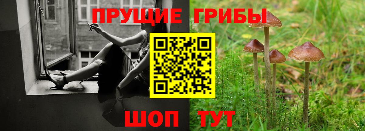 Псилоцибиновые грибы GOLDEN TEACHER Мелеуз